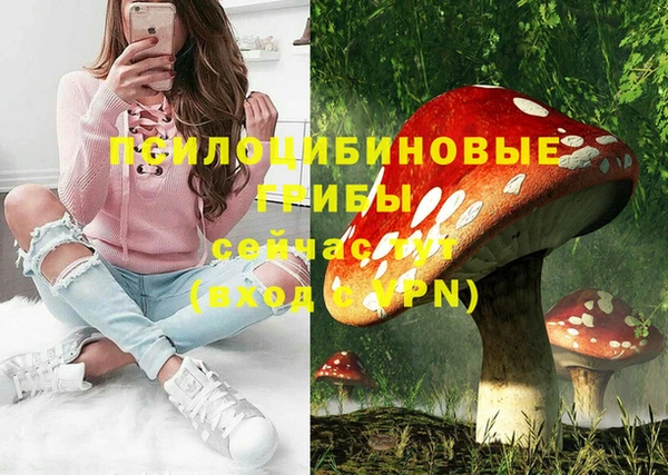 эйфоретик Дмитров