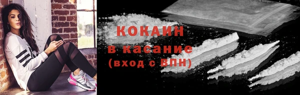гидропоника Дмитриев