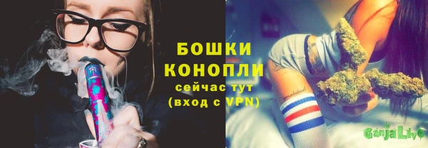гидропоника Дмитриев
