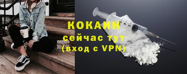 гидропоника Дмитриев