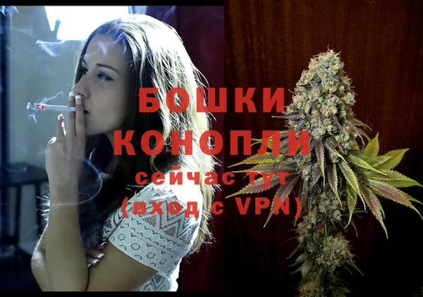гидропоника Дмитриев