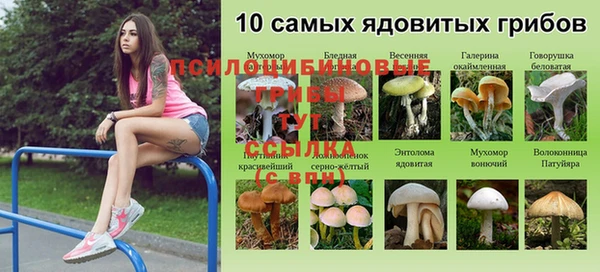 гидропоника Дмитриев