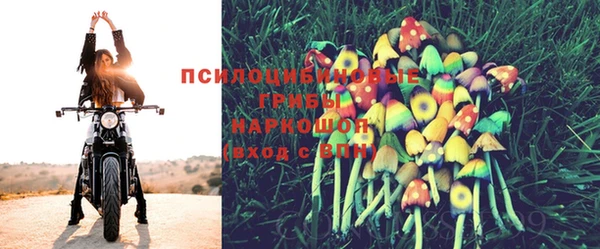 эйфоретик Дмитров