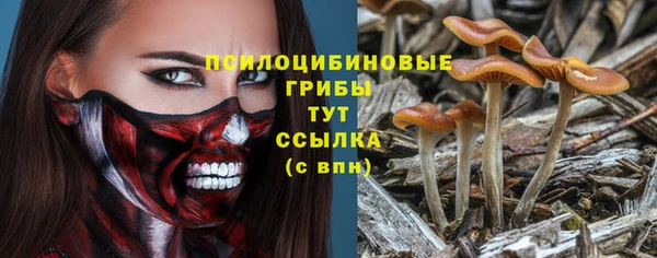 гидропоника Дмитриев