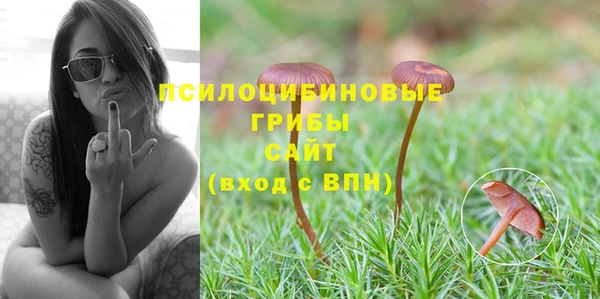 эйфоретик Дмитров